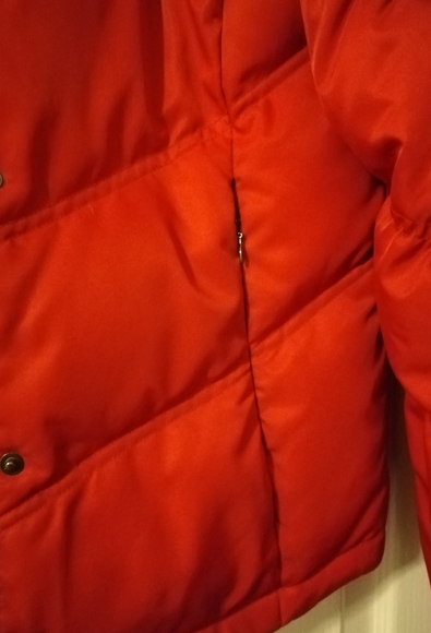 Jacket - Picture 3 of 5